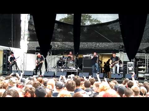 The Year Of The Snake video