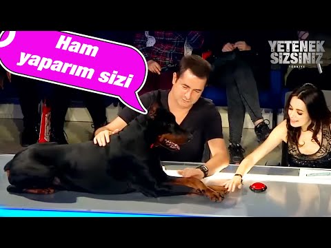 Acun  Ilıcalı, Doberman Korkusunu Yendi | Yetenek Sizsiniz Türkiye