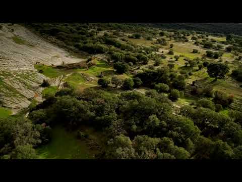 Senda del Encinar (Monumento natural Monte Santiago – PRC-BU 50 - Burgos)