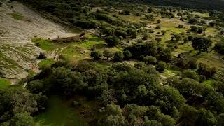 Senda del Encinar (Monumento natural Monte Santiago – PRC-BU 50 - Burgos)