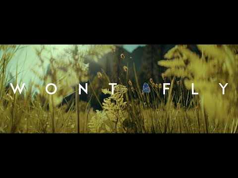 Jon Keith - WONT FLY (Official Music Video)