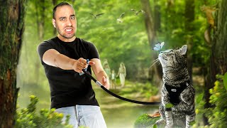 COMMENT HABITUER SON CHAT AU HARNAIS ?!! 😱