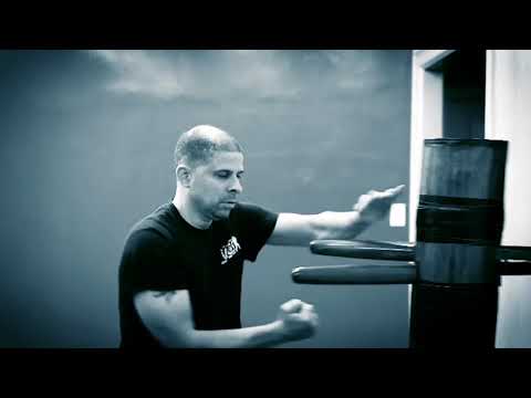 Wing Chun Science (WCS) PROMO Video