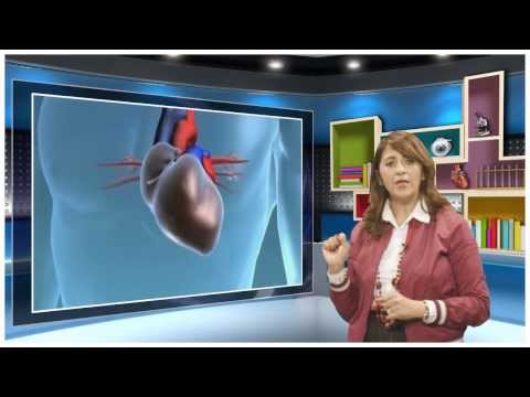 الدورة الدموية علوم الحياة والأرض السنة الثالثة إعدادي