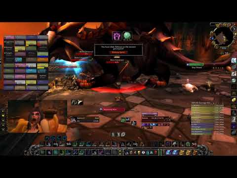 Prot Pally Tanks Nef + Adds | WoW Classic | Riot Guild | Netherwind Server