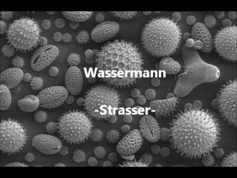 Wassermann    --Strasser--