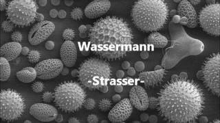 Wassermann    --Strasser--