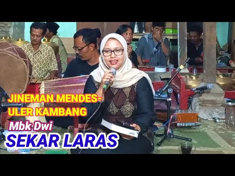 JINEMAN MENDES-ULER KAMBANG‼️Mbk Dwi Sekar Laras Jonggol Jambon