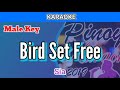 Bird Set Free by Sia (Karaoke : Male Key)