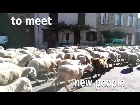 LAVAUDIEU