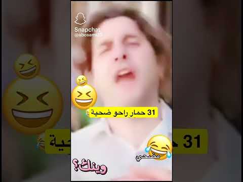 صارو 32 حمار
