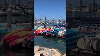 #サンディエゴライフ #sandiego