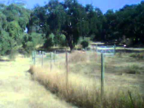 Garrett Moto 3 dia 22-09-2013