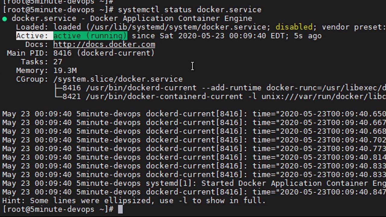 Docker run hello world container in Linux host | 5-Minute DevOps