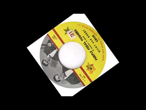 TEEN Ricky and Robby - Purple Pedal Pushers (1959)