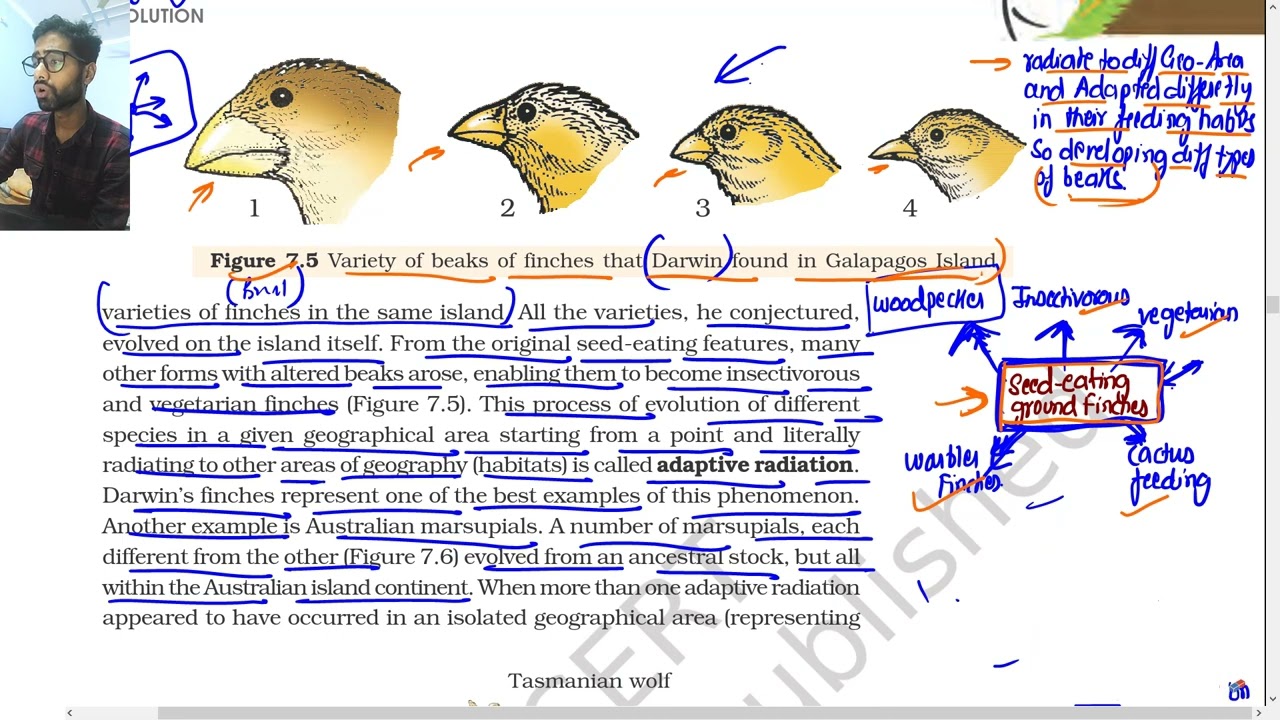 Evolution Part 5 | Adaptive Radiation | Ncert class 12th Biology line buy line chapter 7