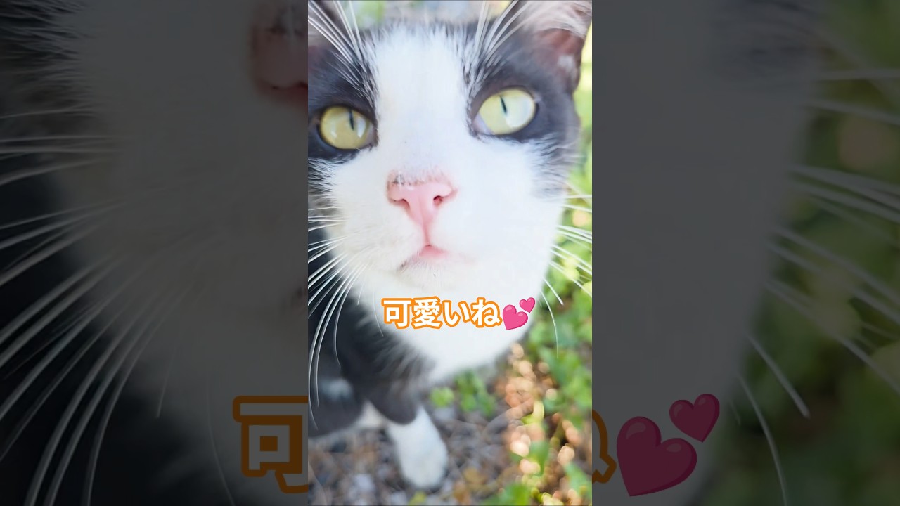 癒しの時間(=ﾟωﾟ=)💕