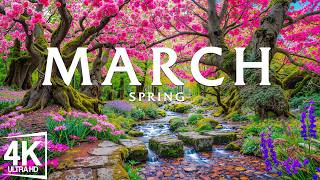 Spring in March 4K – Early Spring 2026 🌸 Blooming Valleys, Sakura Rivers & Bright Morning Landscapes gameplay video by nielseno, 714:59 duration