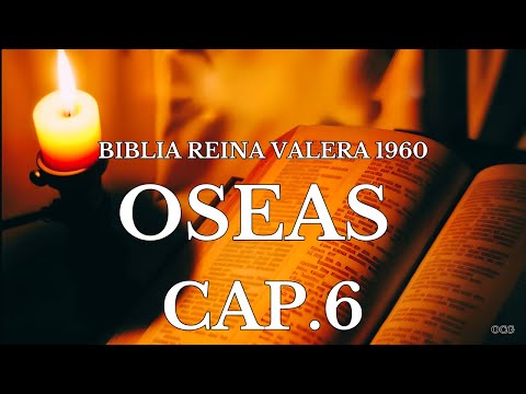 Spoken Bible-King James Version Bible Hosea Chapter 6
