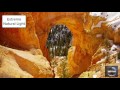 4K TV Test Video Test Your TV Picture Quality