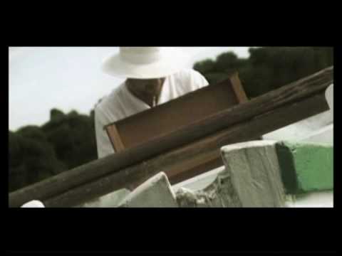 Bruno Krajcar - Marijana