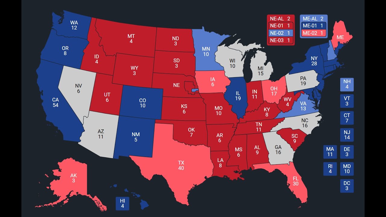 The Bird's 2024 Presidential Election Prediction