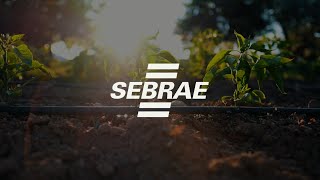 Sebrae Agricultura Familiar