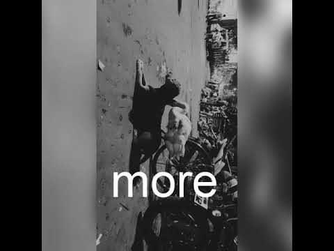 Extreme frustration|RARE SCENE, duck & dog|•CAUGHT IN CAMERA😉|•LOVE IS IN THE AIR.