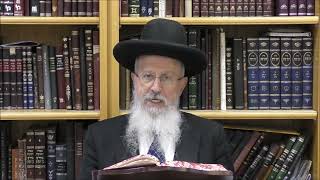 הגאון הרב אברהם יוסף שליט"א עד מתי אדם יכול לקרוא את המגילה בלילה (הערוץ של הרב אברהם יוסף) - התמונה מוצגת ישירות מתוך אתר האינטרנט יוטיוב. זכויות היוצרים בתמונה שייכות ליוצרה. קישור קרדיט למקור התוכן נמצא בתוך דף הסרטון