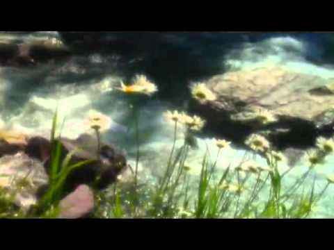 Cadet Sisters | Through the Wilderness