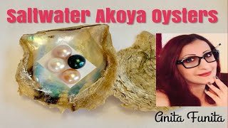 Opening Amazon Akoya Oysters to find pearls!
