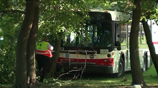 4 hurt after CTA bus crosses oncoming traffic on Lake Shore Drive, crashes into tree