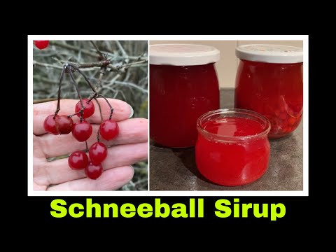 Schneeball - Sirup Rezept OHNE kochen selber machen | Selbstversorgung