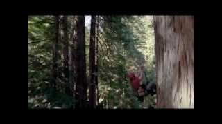 Women of Faith   Above All