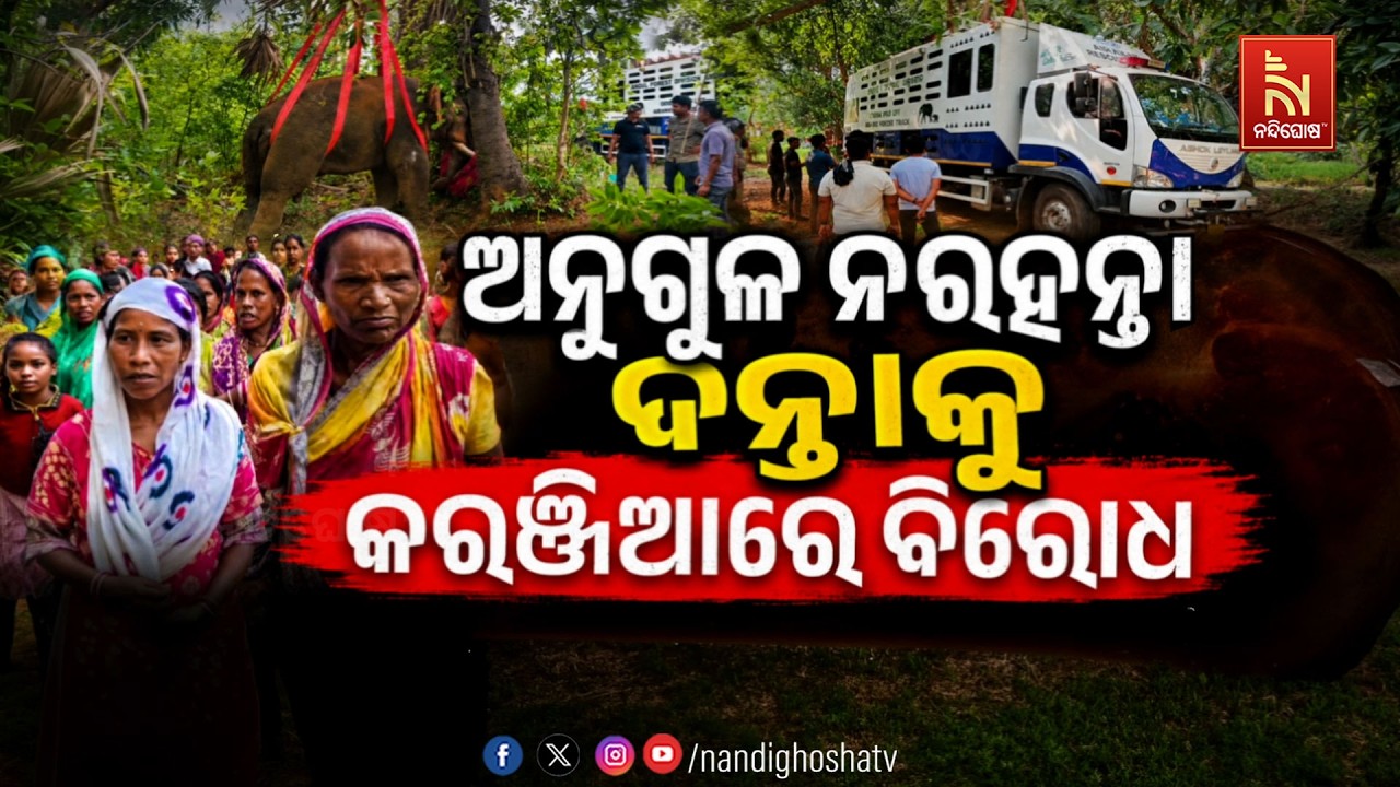ଅନୁଗୁଳ ନରହନ୍ତା ଦନ୍ତାକୁ କରଞ୍ଜିଆରେ ବିରୋଧ | NandighoshaTV