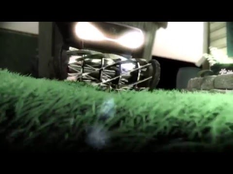 Slug Invasion - SAE London