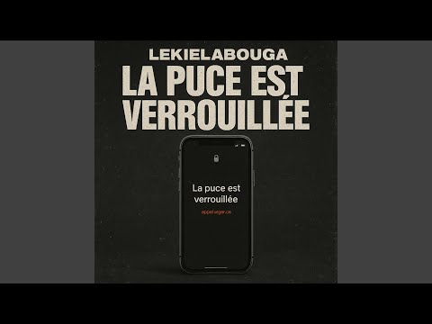 La puce est verrouillée