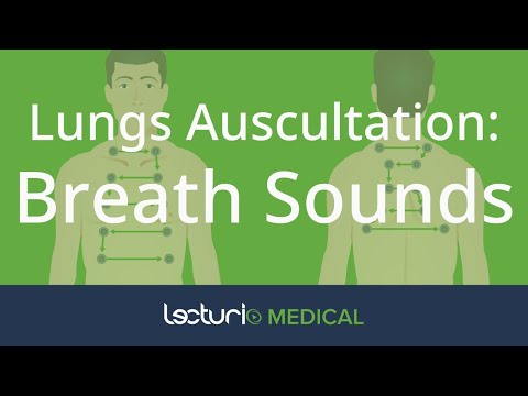 How To Auscultate The Lungs: Differentiating Breath Sounds | Physical Examination