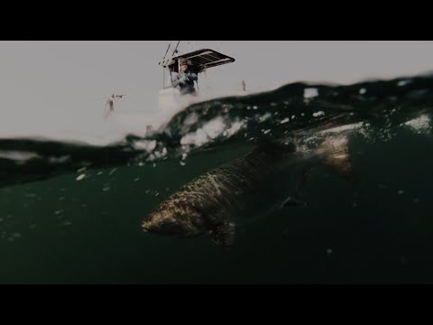 Fishing BC Presents: Langara Island Lodge on Haida Gwaii