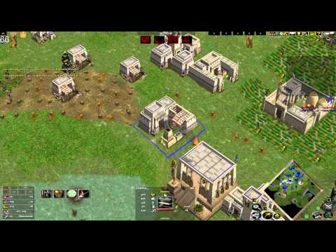 DoD_Fox vs DoD_Shelty (Zlapied)