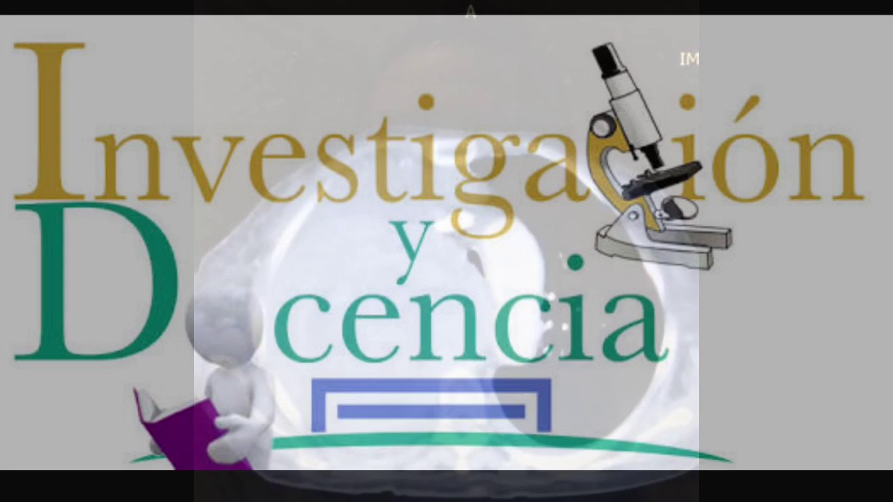 Mijael Toiber Levy-15