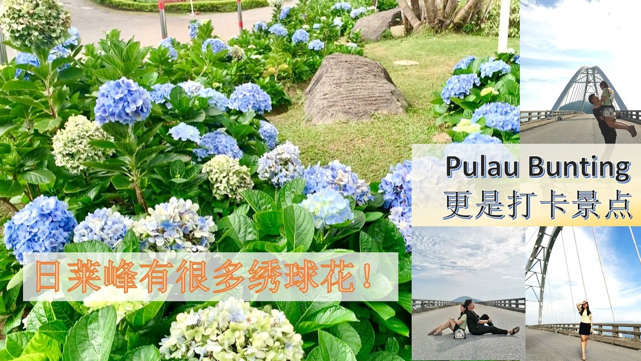吉打一日游 之 【日莱峰Gunung Jerai & Jambatan Pulau Bunting】