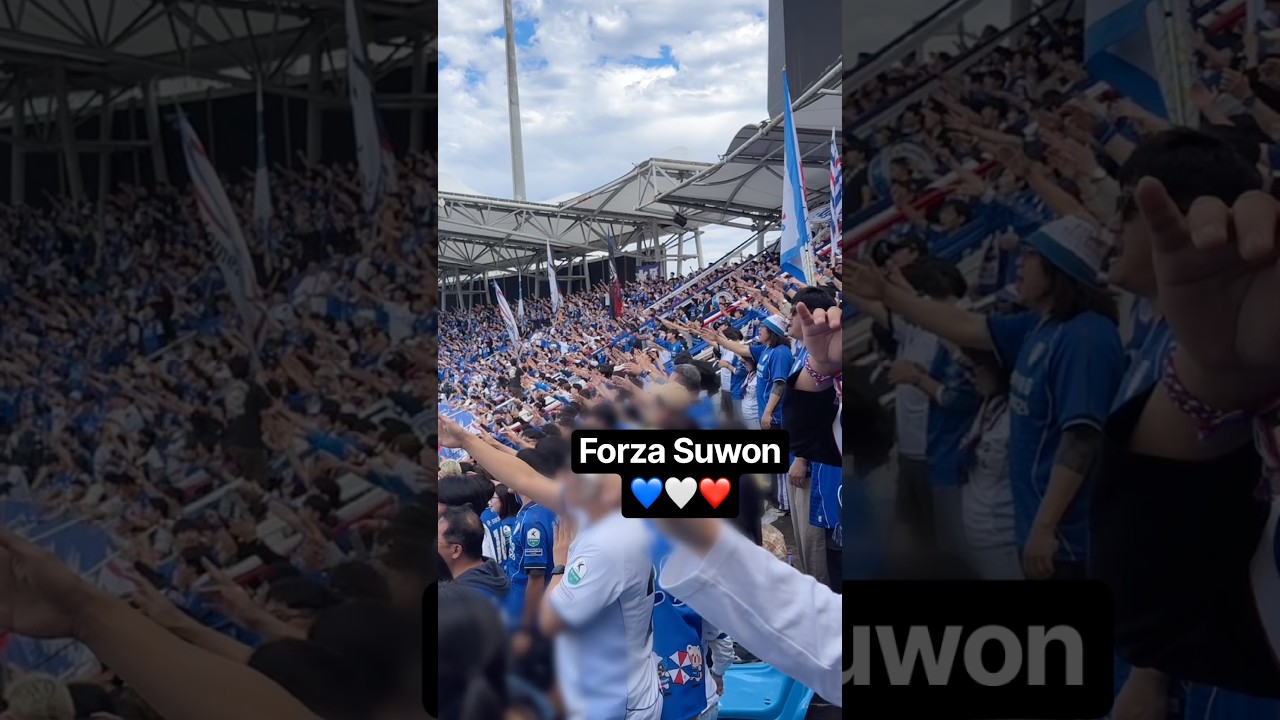 승격을 위한 카운트다운ㅣforza Suwon #수원삼성 #k리그 #축구 #shorts