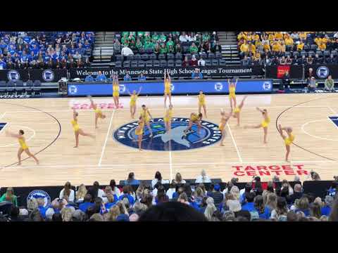 Eastview Dance Team Jazz State 2019