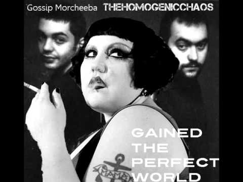 Gossip & Morcheeba - Gained The Perfect World(The HomogenicChaos Mashup)