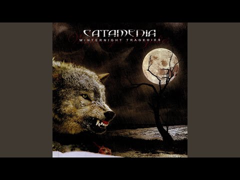 My Blood Stained Path