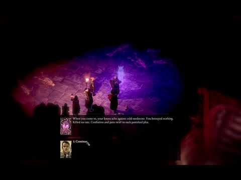 Pillars of Eternity II [Spirit]