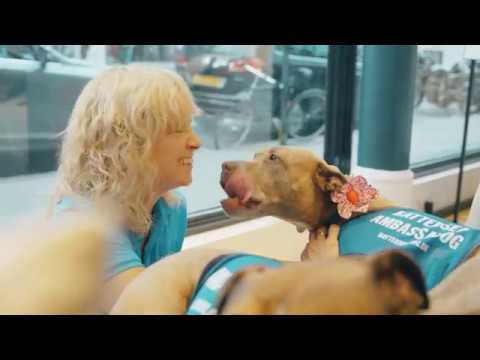 #ReadyToBeLoved | Battersea Dogs Visit Tottenham Court Road