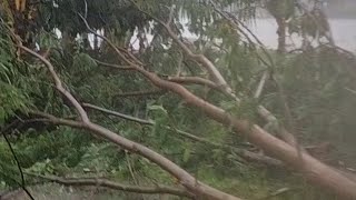 Detik detik angin puting beliung dan hujan Es Kp karamat Desa Ciherang Karangtengah Cianjur