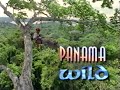 National Geographic World S Last Great Places Panama Wild Rain Forest Of Life 1996